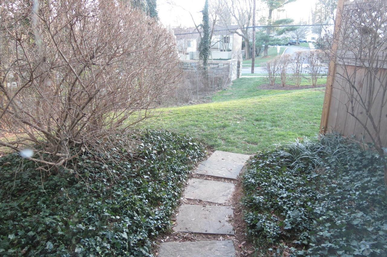 5307 Pooks Hill Rd #LL - Photo 6 of 15