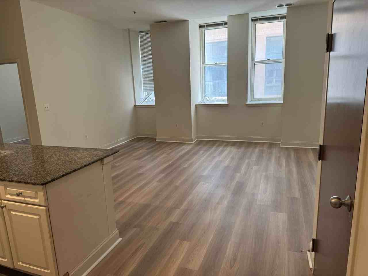 1011 Chestnut St #301W - Photo 3 of 11