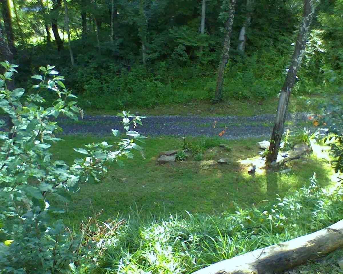 346 Elk Shoals Creek Rd - Photo 2 of 6