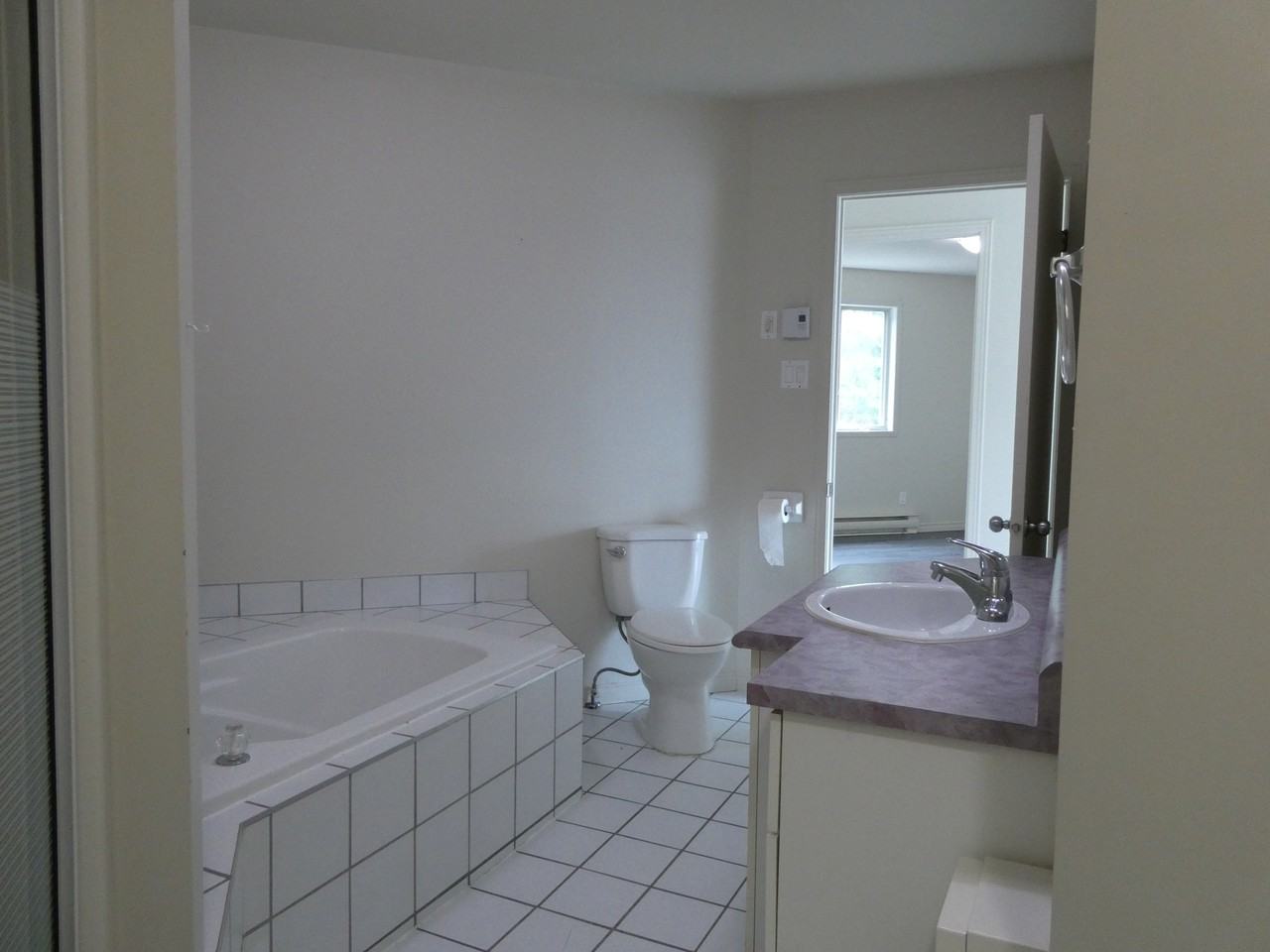 408 Hector-Fabre - Photo 5 of 19