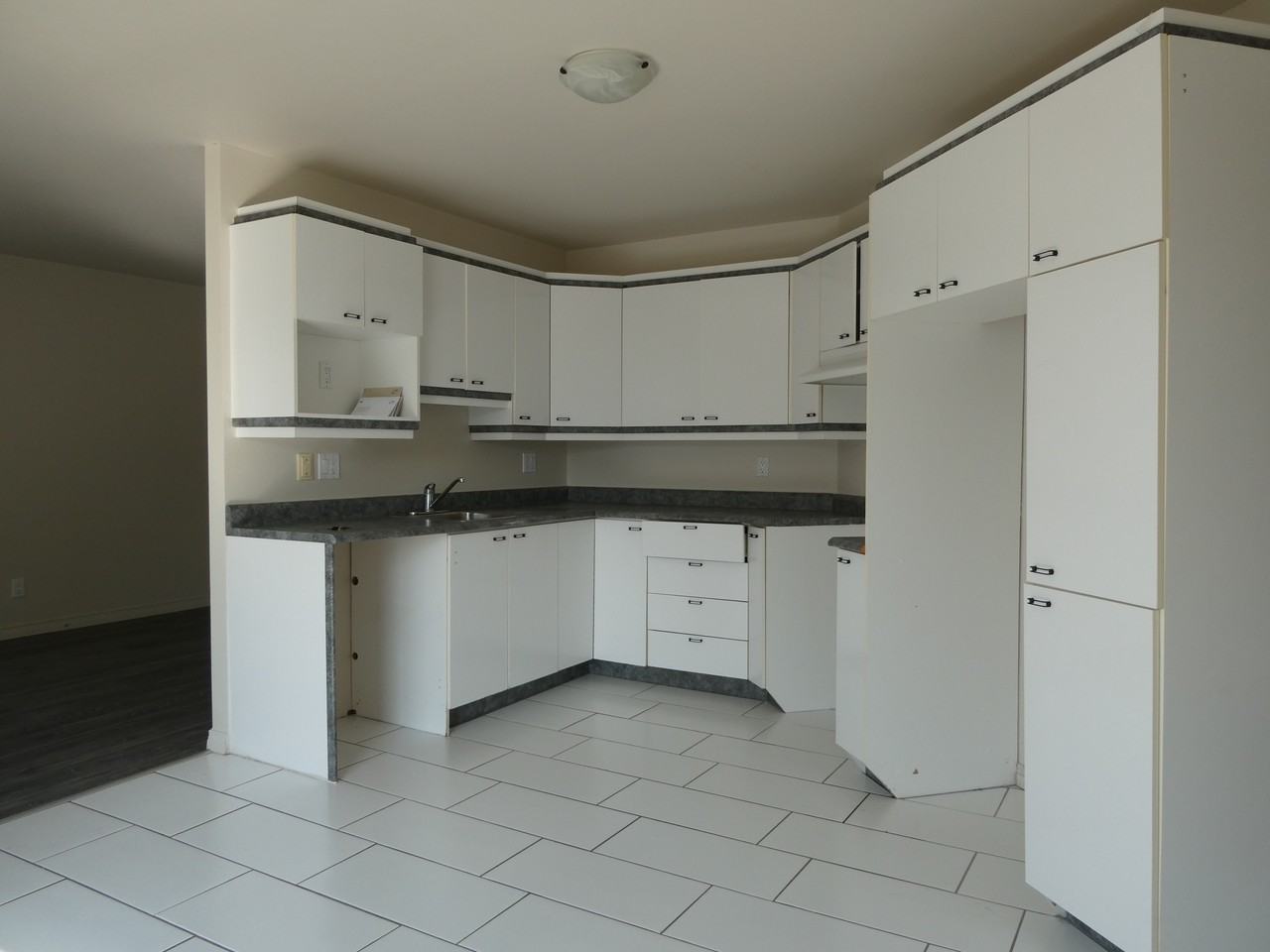 408 Rue Hector-Fabre — photo 1