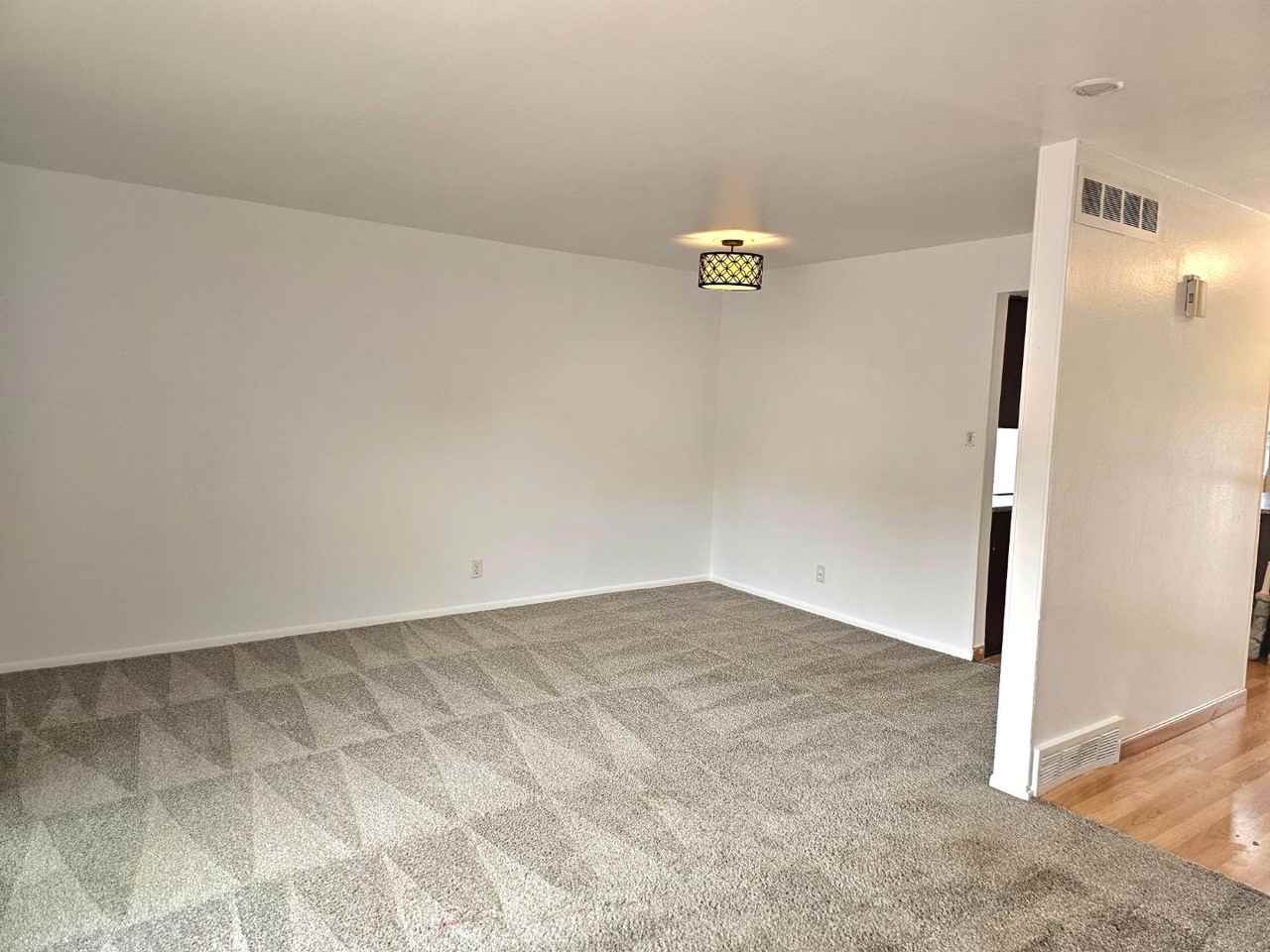 392 E 116th Ave - Photo 6 of 18