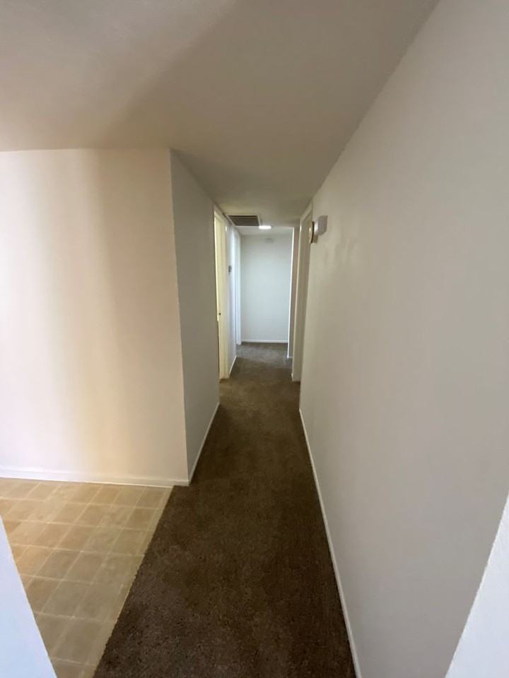 4409 Adidas Avenue - Photo 5 of 9