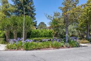 590 Center Dr - Photo 1 of 1