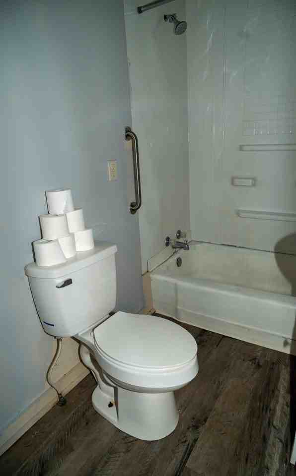 528 E Lake St #14991855 - Photo 3 of 31