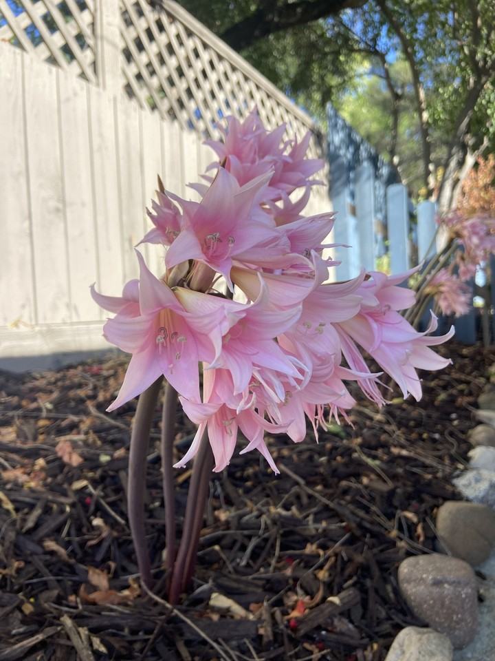 5395 Dolores Ave #NA - Photo 7 of 34