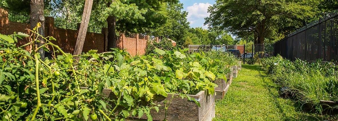 Mayfair Mansions III - Photo 7 of 27