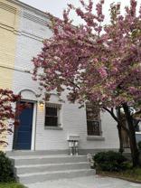 1238 E Street Expy #1 - Photo 1 of 1