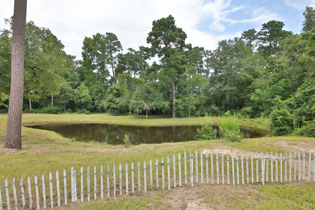 33940 Ansley Rd - Photo 4 of 30
