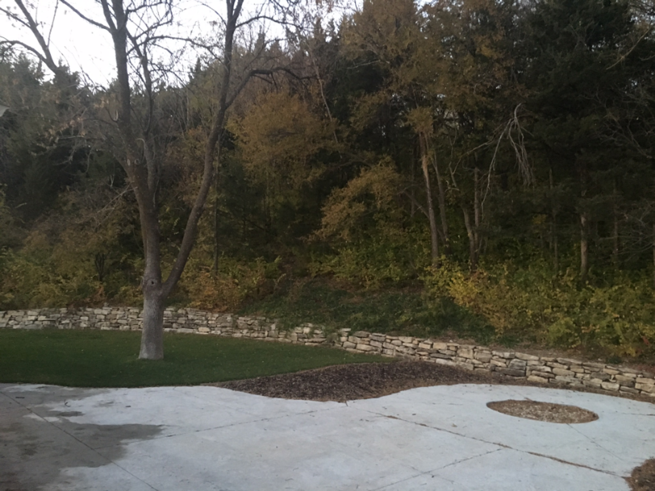 1900 Rockhill Rd - Photo 7 of 21