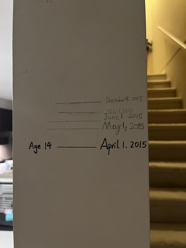 2729 158 Street - Photo 2 of 21