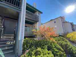 featured image of 1100 Goeglein Gulch #158