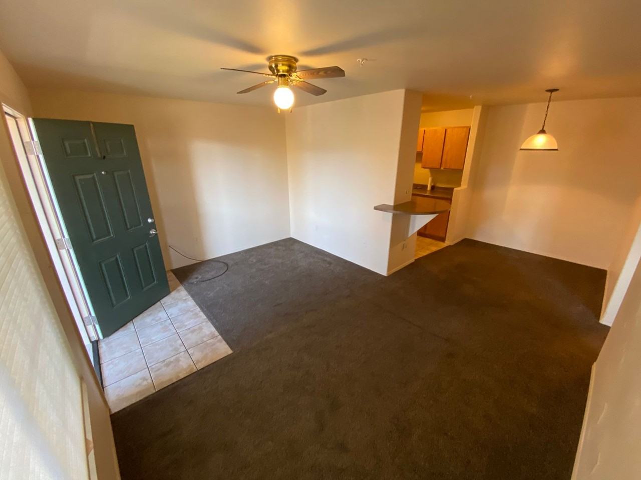 1100 Goeglein Gulch #158 - Photo 4 of 20