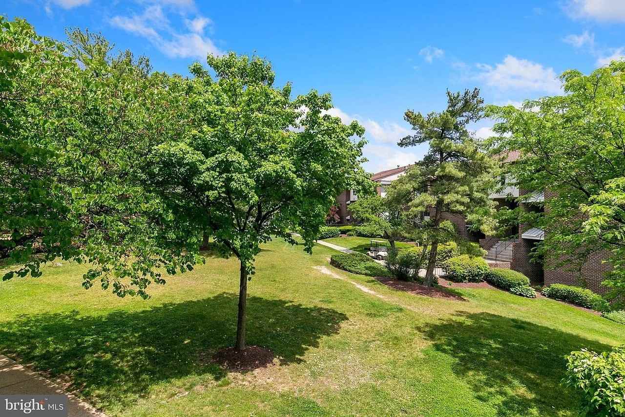 11216 Cherry Hill Road #102 - Photo 3 of 43