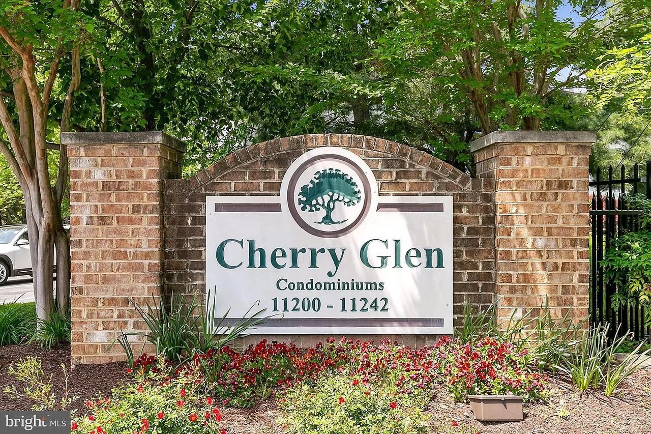 11216 Cherry Hill Road #102 - Photo 4 of 43