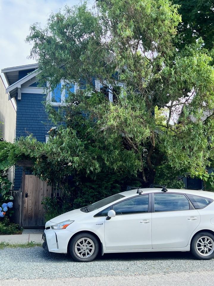 1447 East Pender Street - Photo 2 of 13