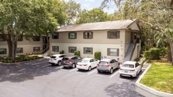 featured image of 40 Aledo Ct