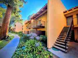 featured image of 247 N Capitol Ave #243