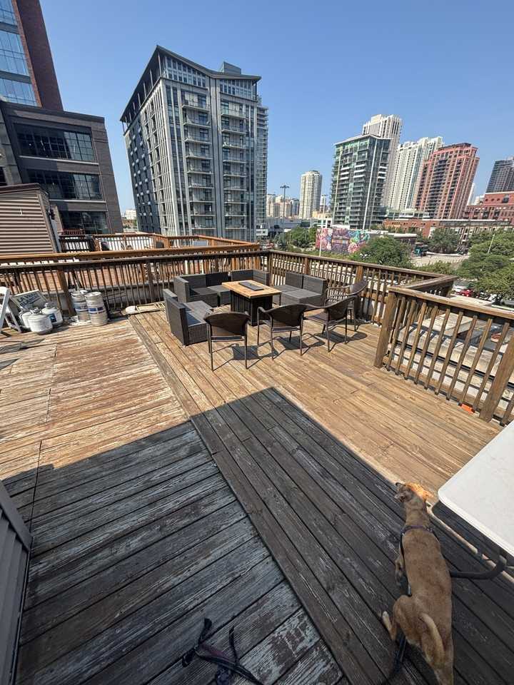 212 N Halsted St #2 - Photo 7 of 38