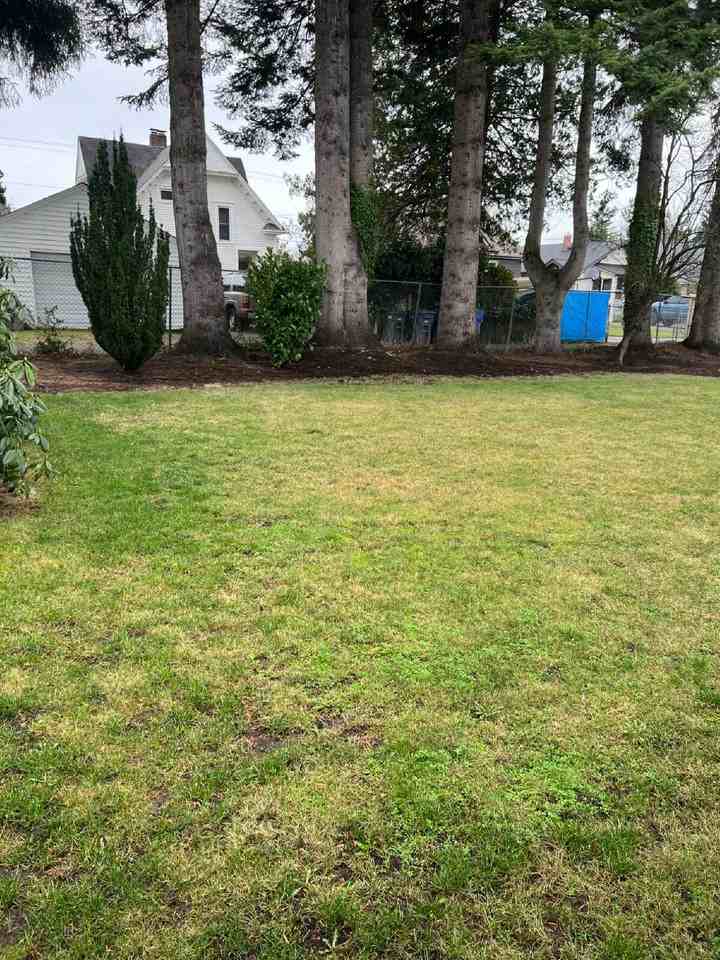 140 N B St - Photo 3 of 15