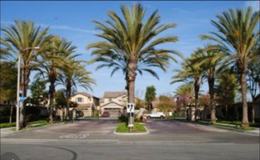 1937 E Canova Ln #NA - Photo 1 of 1