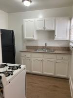 featured image of 1151 Daisy Ave
