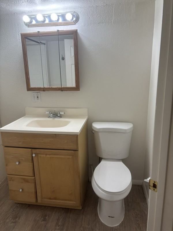 424 1/2 E Dillon St - Photo 6 of 9