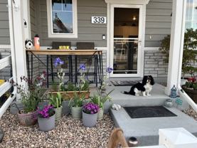 339 Condor Way - Photo 1 of 1
