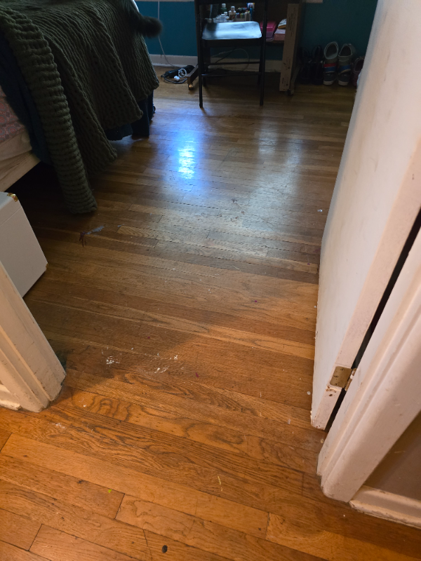 310 Hialeah Ave - Photo 3 of 6