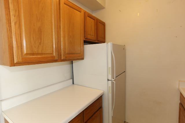 711 W Belmont Ave #409 - Photo 4 of 15