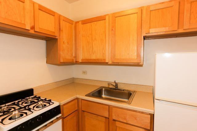 1164 N Dearborn St #405 - Photo 2 of 13