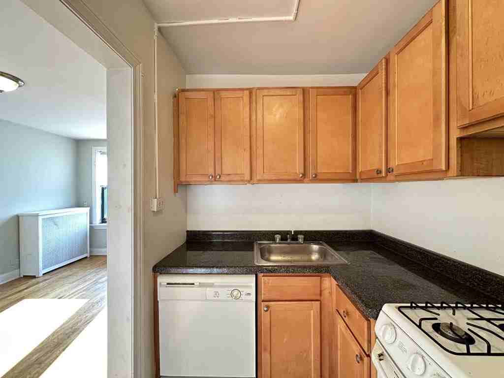 739 W Belmont Ave #515 - Photo 4 of 21