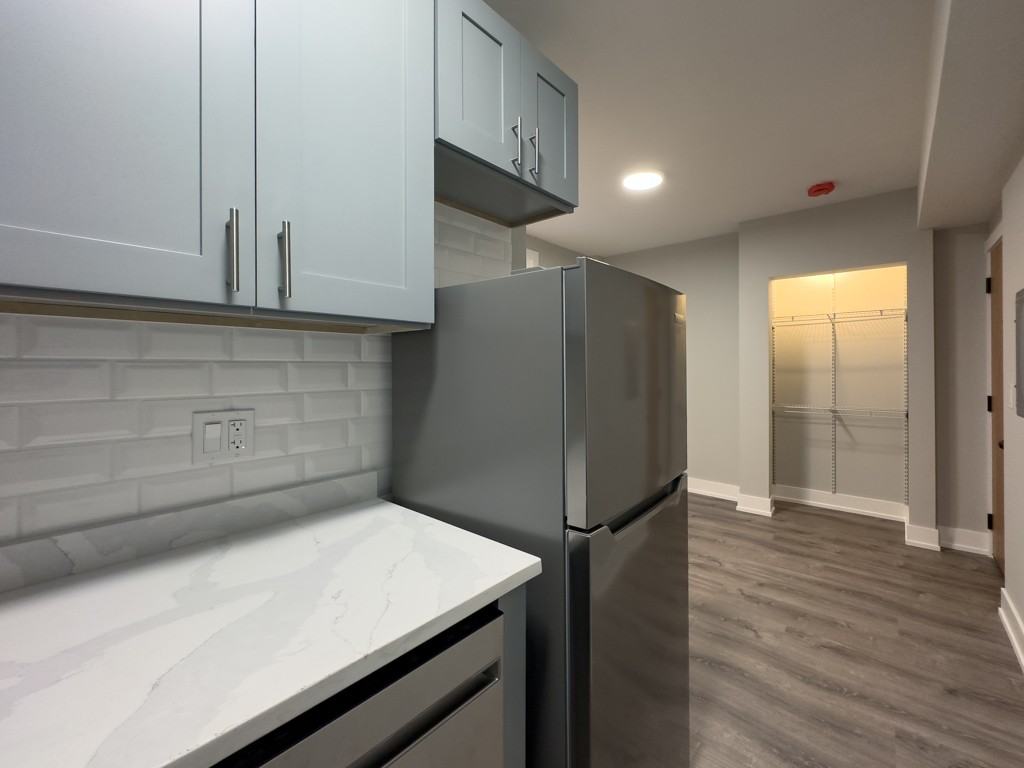 505 W Belmont Ave #1K - Photo 4 of 19