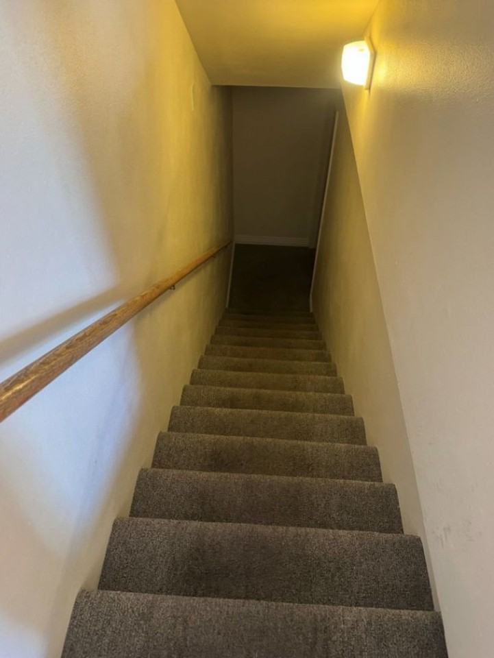 Morris 1227 Pinecone Dr - Photo 7 of 10