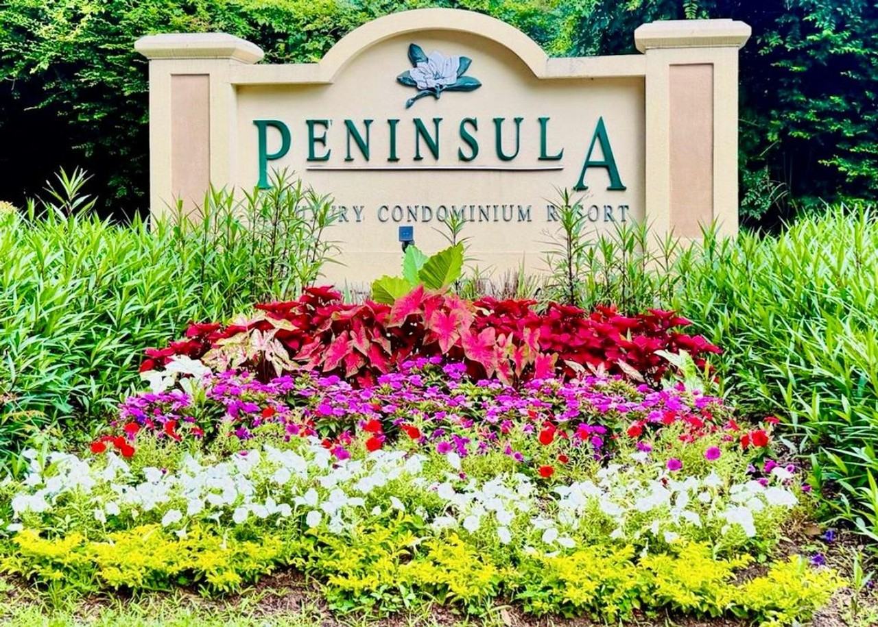 700 Daniel Ellis Dr - Photo 2 of 38