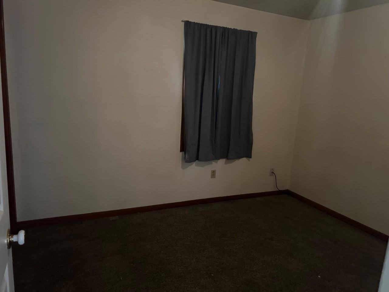 4501 Donnie Ave - Photo 6 of 16