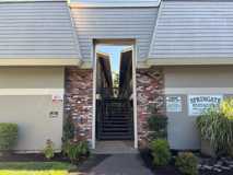 spring01 - Photo 1 of 1