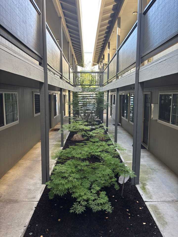 spring01 - Photo 2 of 2