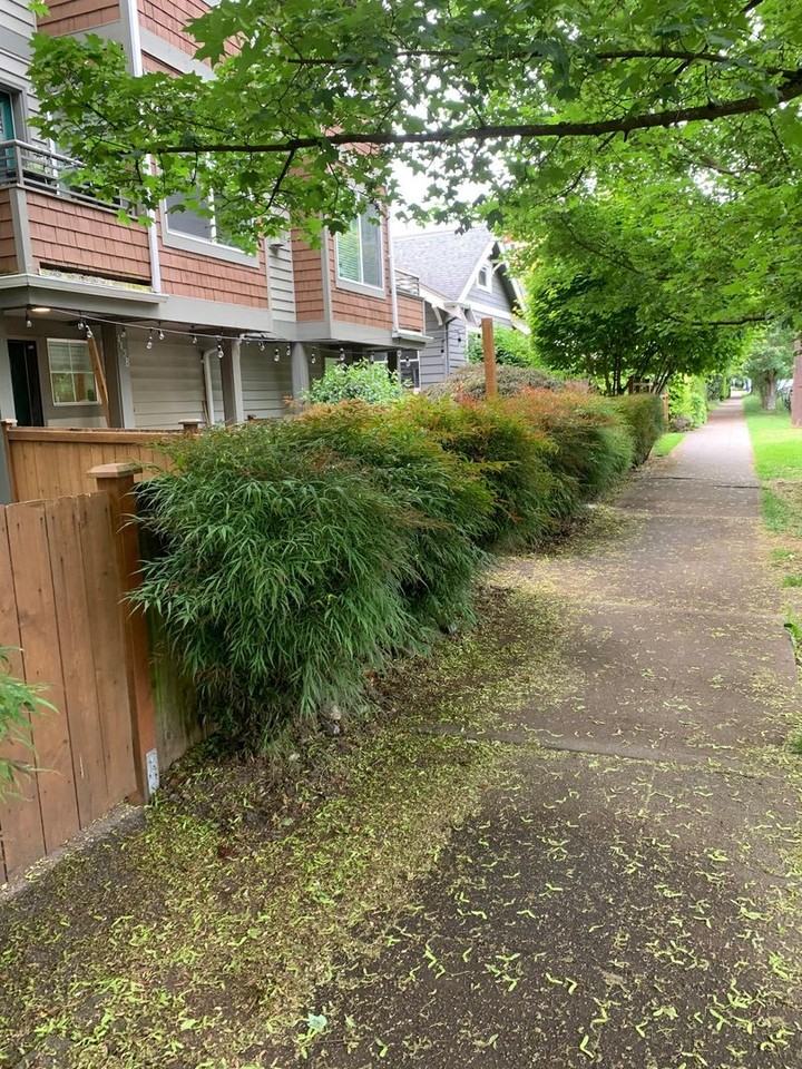 443 Ne Ravenna Blvd #C - Photo 3 of 39