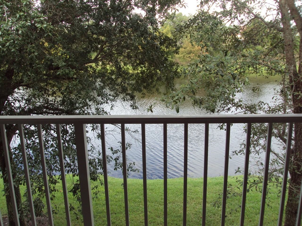 13827 Herons Landing Way #12 - Photo 3 of 18