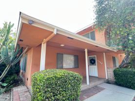 5944Palm - Photo 1 of 1