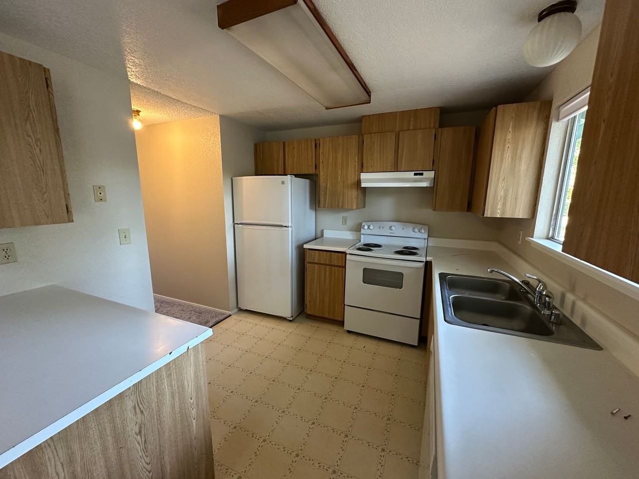 813 Haskell Ct - Photo 5 of 14