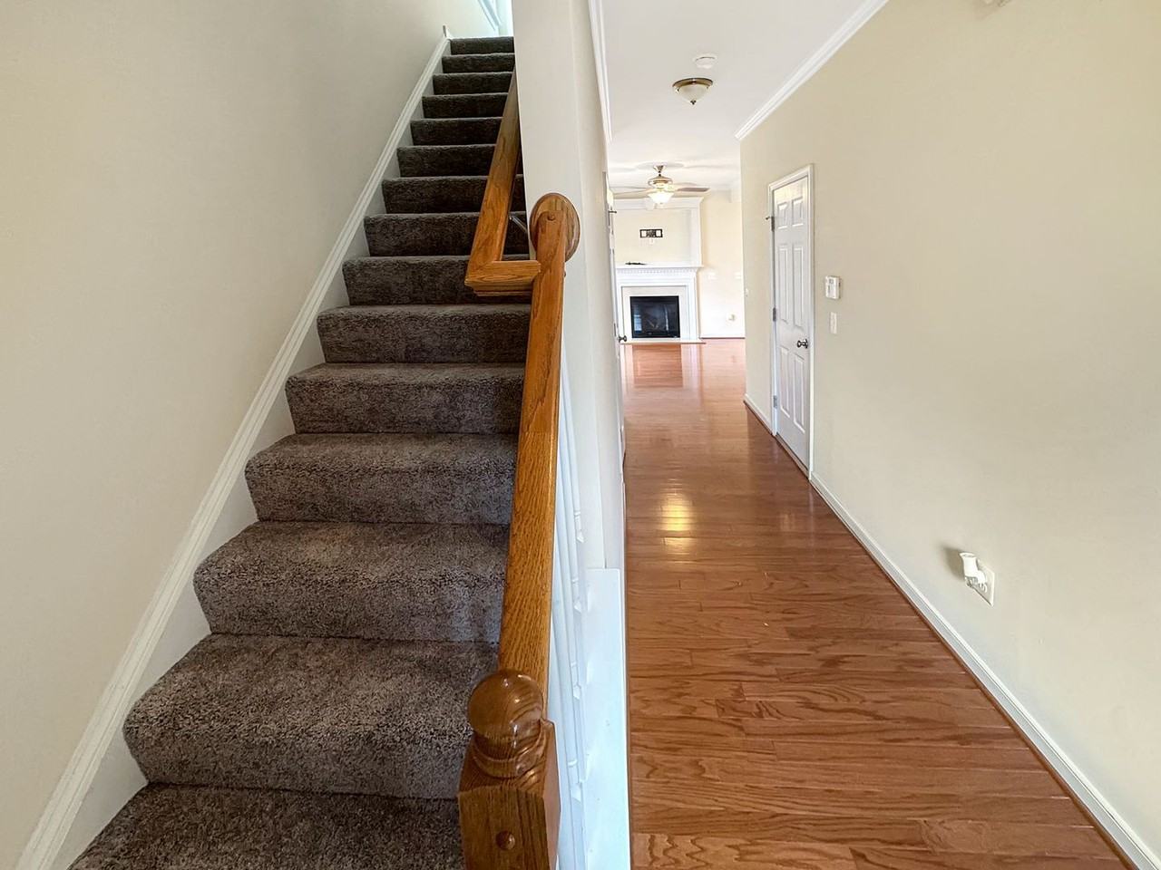10360 Caracara Dr - Photo 2 of 21