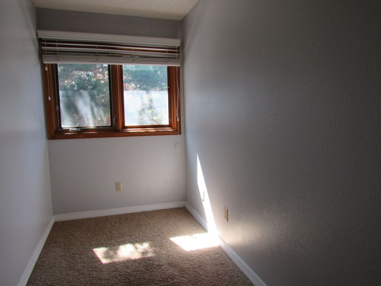 1019 Surrey Ct - Photo 7 of 16