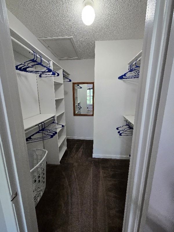 2325 Parrot Lane - Photo 2 of 11