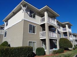 featured image of 11000 Diploma Dr Apt C