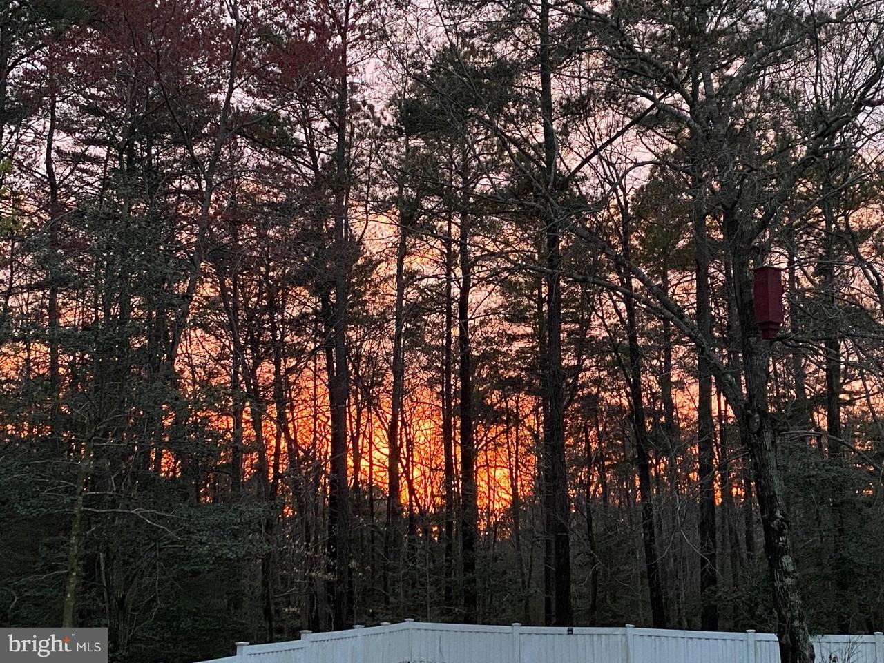 23063 Pembrook Dr - Photo 2 of 50