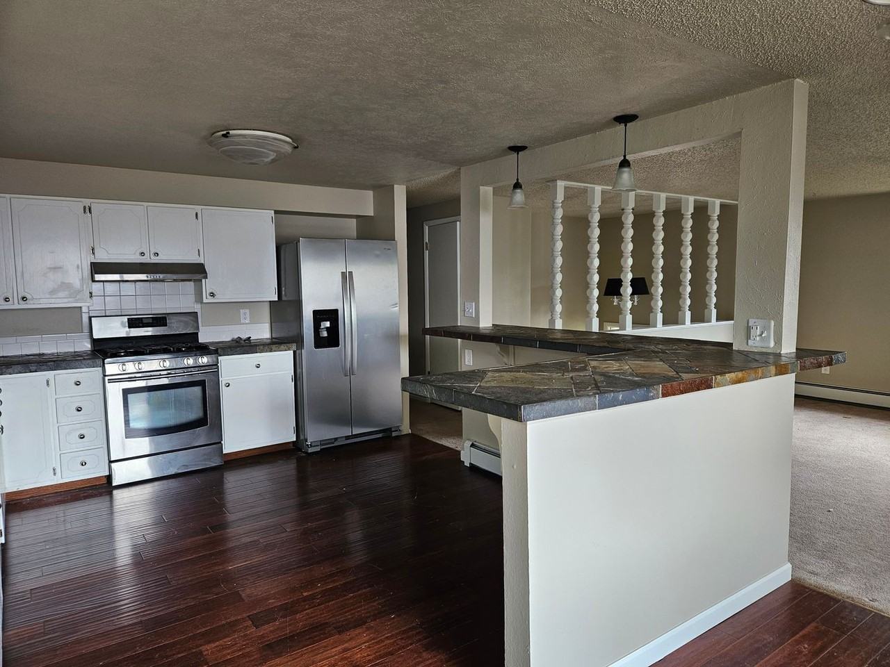 2513 Fairplay Dr - Photo 3 of 25