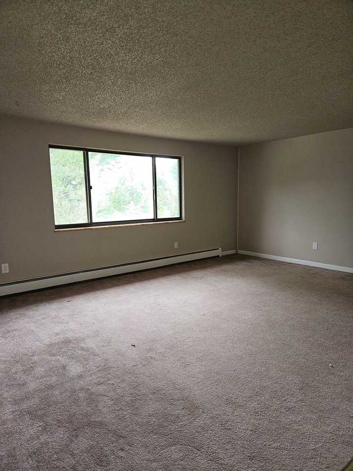 2513 Fairplay Dr - Photo 6 of 25
