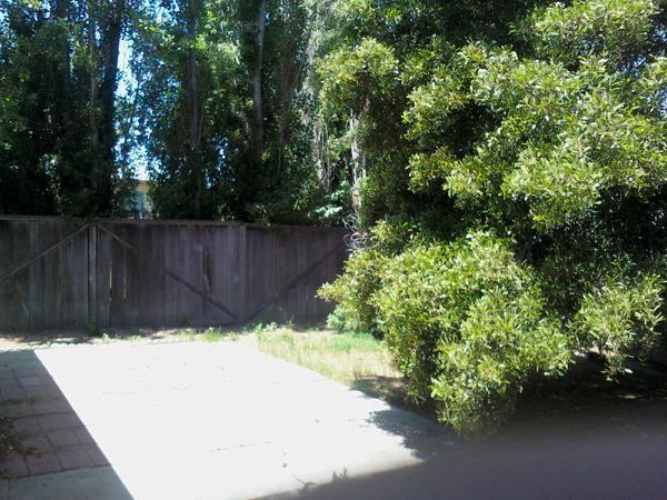 1515 S B St - Photo 2 of 2